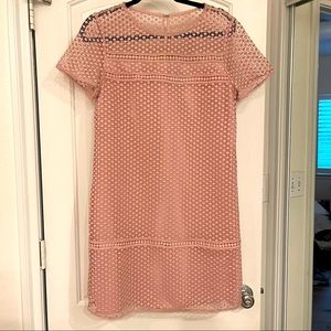 Ann Taylor overlay lace shift dress NWOT